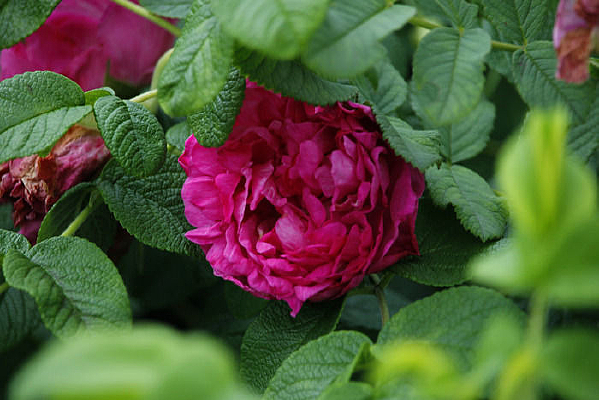 ���������װ���ĵ����