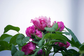 �۰��װ���ĵ����