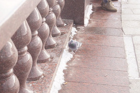 ��������