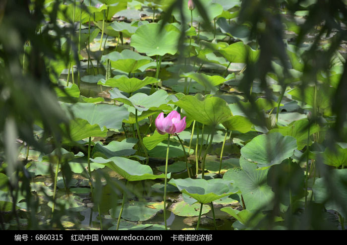 �����ɻ�ͼƬ