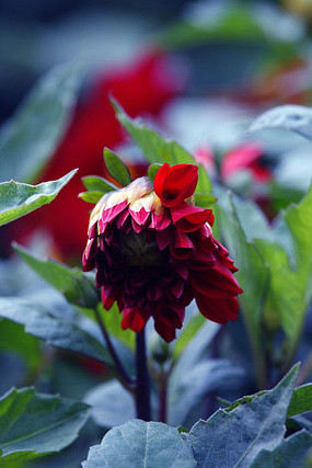 ���������