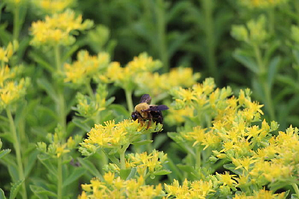 ���в��۵��۷�