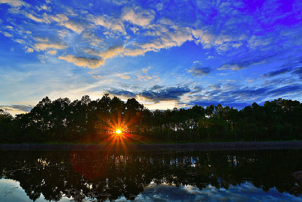 �������շ羰