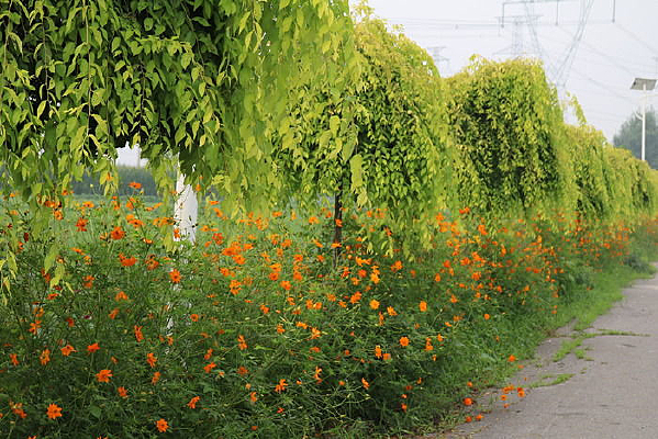 ���������յ��