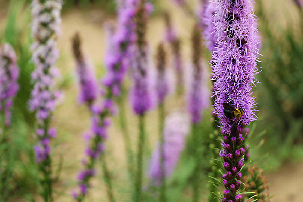 �ϻ�����