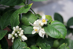 ���ʵĻ���