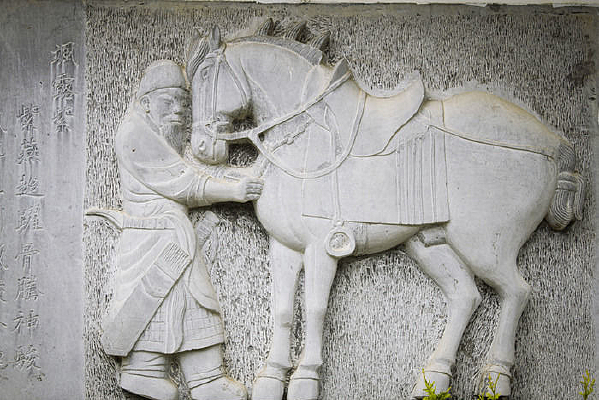 ǽ���ϵ������