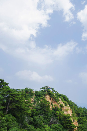 ǧɽ�����֥ͤɽ�����������