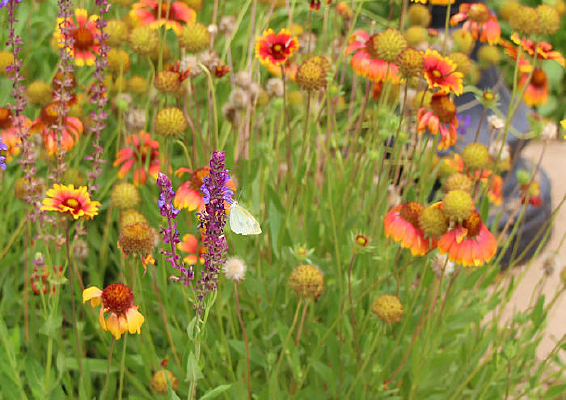 ��Ϣ�ĺ���