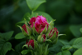 �װ��컨����