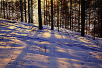 ѩԭ����Ϧ��