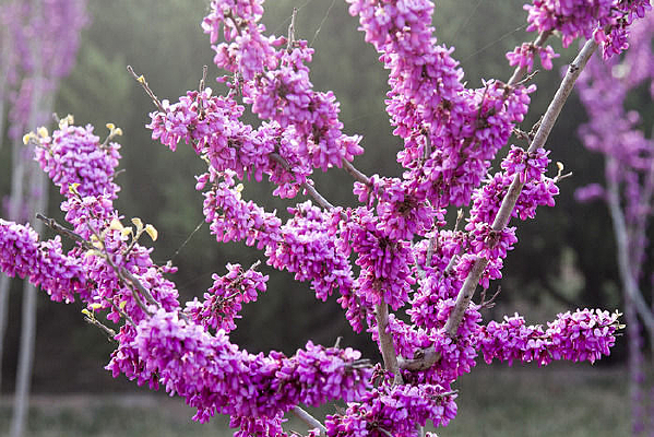 һ���Ͼ���