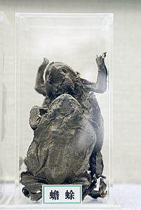 ��ҩ�����