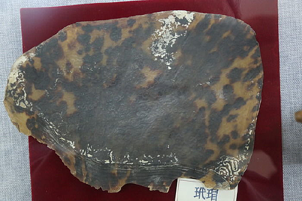 ��ҩ�����