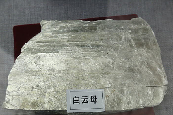 ��ҩ�İ���ĸ