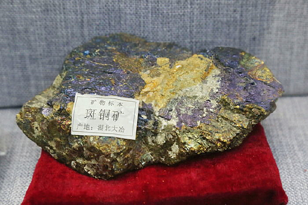 ��ҩ�İ�ͭ��걾