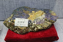 ��ҩ�İ�ͭ��걾