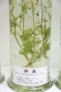 ��ҩ������