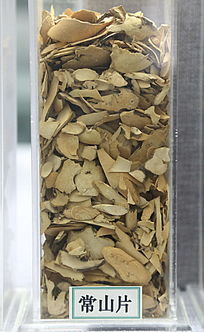 ��ҩ�ĳ�ɽƬ