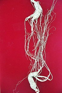 ��ҩ�ĳصײ��в�ҩ