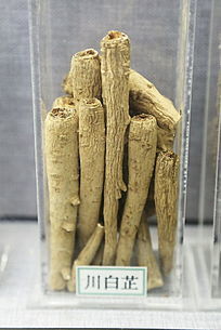 ��ҩ�Ĵ�����