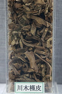 ��ҩ�Ĵ�ľ��Ƥ