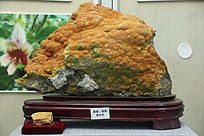 ��ҩ�Ĵƻ��ۻƺ���