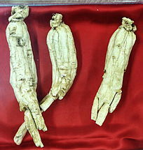 ��ҩ�ĸ�����