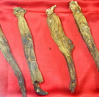 ��ҩ�ĸ����κ��