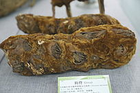 ��ҩ�Ĺ���