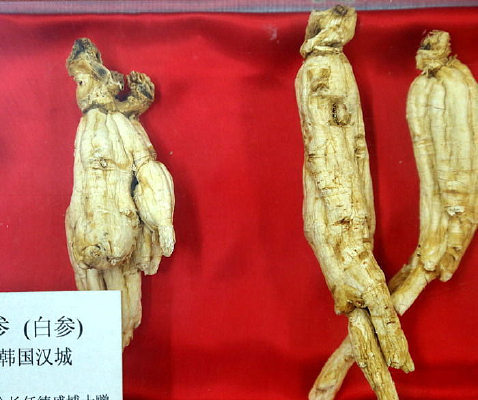 ��ҩ�ĺ�����������