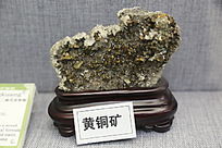 ��ҩ�Ļ�ͭ��걾