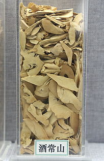 ��ҩ�ľƳ�ɽ