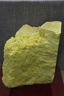 ��ҩ����Ǳ걾