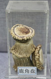 ��ҩ��¹����