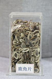 ��ҩ��¹��Ƭ