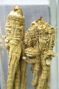 ��ҩ�������