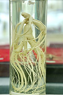 ��ҩ���˲α걾