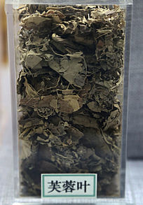 ��ҩ��ܽ��Ҷ