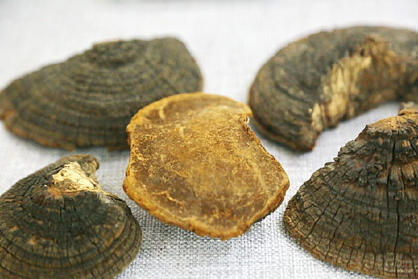 ��ҩ��ɣ��