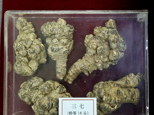 ��ҩ�������ص�16ͷ