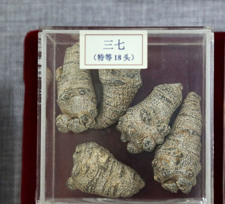 ��ҩ�������ص�18ͷ