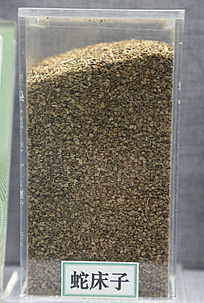 ��ҩ���ߴ���