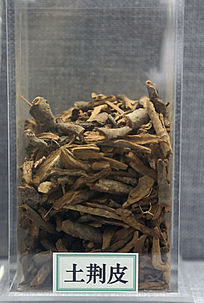 ��ҩ������Ƥ