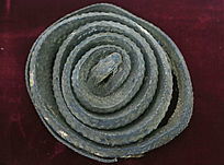 ��ҩ�������߱걾