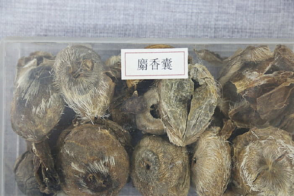 ��ҩ��������