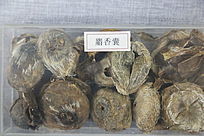 ��ҩ��������