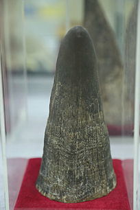 ��ҩ��Ϭţ��