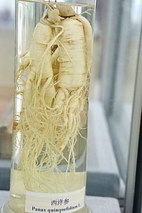 ��ҩ�������