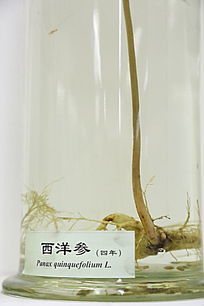 ��ҩ�������